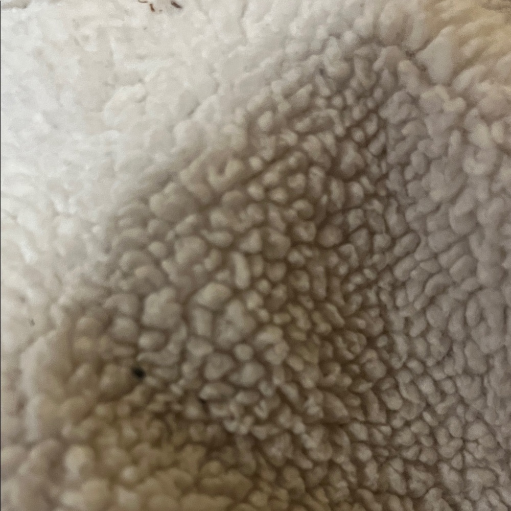 Maurices Women's White Teddy Jacket - Picture 3 of 4
